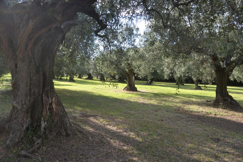 Villa La Cipriana Castagneto Carducci Exterior foto